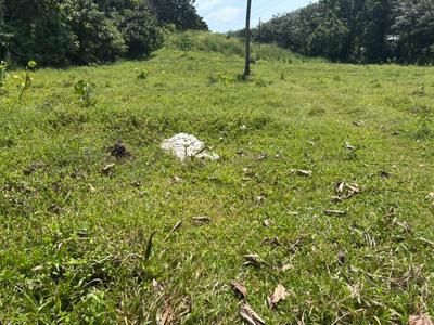 Image of 5555 Sq.ft Residential Plot / Land for sale in Mulanthuruthy, Kochi for Rs. 120000