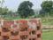 Rohania Main Image 1