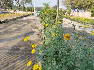 Image of 1250 Sq.ft Residential Plot / Land for sale in Mohanlalganj, Lucknow for Rs. 2000000