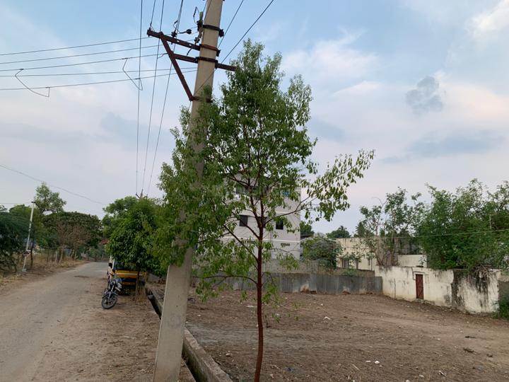 Residential 2280 Sqft Plot for sale at PN Pudur, Coimbatore Property