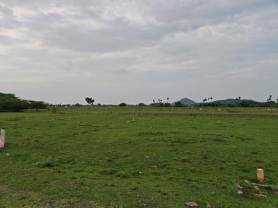 Image of 1360 Sq.ft Residential Plot / Land for sale in Mahindra World City, Chennai for Rs. 2040000
