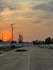 Kanhe More Images 2