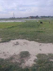 Image of 1360 Sq.ft Residential Plot / Land for sale in Ram Nagar, Varanasi for Rs. 1500000