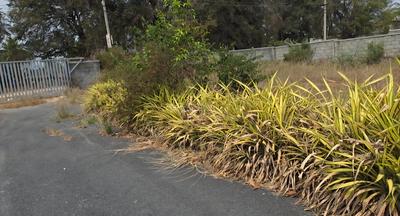 Image of 1263 Sq.ft Residential Plot / Land for sale in Pavan Gokulam, Kuthaganahalli, Bengaluru for Rs. 8000000