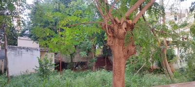 Image of 298 Sq.ft Residential Plot / Land for sale in Vanasthalipuram, Hyderabad for Rs. 31500000
