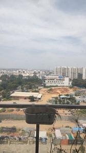 Image of 1700 Sq.ft 3 BHK Apartment / Flat for rent in Shriram Signiaa, Electronic City, Bengaluru for Rs. 50000