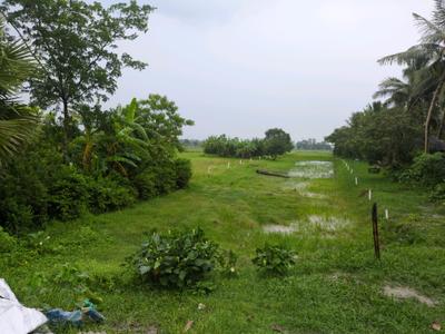 Golden city 2 Sonarpur plot Plot View 2