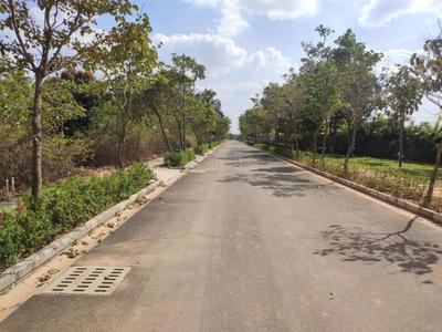 Prestige Marigold Phase I Plot View 2