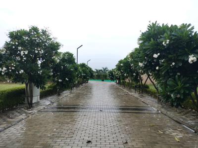 Image of 150 Sq.ft Residential Plot / Land for sale in Mansha Oaks, Sector 98, Faridabad for Rs. 19500000