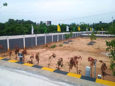Moolacheri Plot View 1