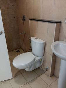 Common Bathroom Image of 1320 Sq.ft 3 BHK Apartment / Flat for rent in Prestige Jindal City, Anchepalya Bengaluru for Rs. 45000