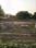 Residential plot Plot View 2