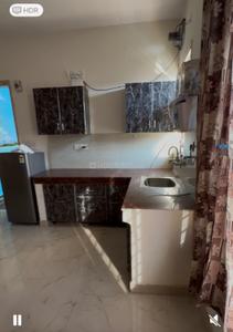 Kitchen Image of 631 Sq.ft 1 BHK Builder Floor for rent in SBP City Of Dreams 2, Sector 116 Mohali for Rs. 13000