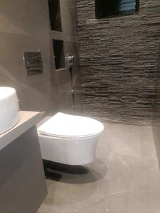 Common Bathroom Image of 550 Sq.ft 1 BHK Apartment / Flat for sale in Mahaavir Exotique Phase II, Taloja Navi Mumbai for Rs. 5000000
