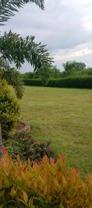 Image of 1250 Sq.ft Residential Plot / Land for sale in Koni, Bilaspur for Rs. 3562000