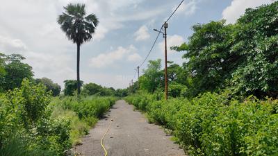 Sharda Nagar Extenison Plot View 3