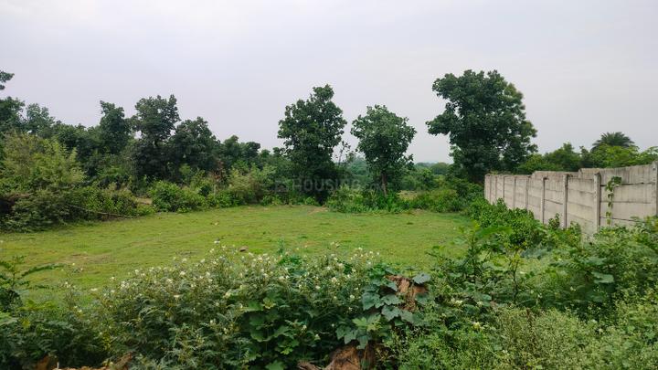 Purisili Main Image 1