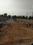 ROYAL RAJPUTANA CO Main Image 1