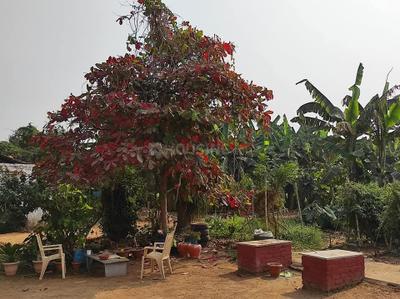 Image of 6000 Sq.ft Residential Plot / Land for sale in Jarway Alias Hirapur, Raipur for Rs. 3450000
