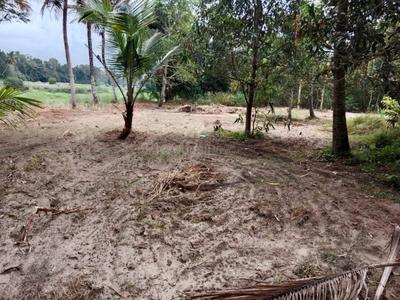 Image of 36624 Sq.ft Residential Plot / Land for sale in Chengannur, Alappuzha for Rs. 20000000