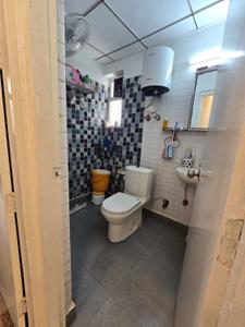 Bathroom Image of 700 Sq.ft 2.5 BHK Apartment / Flat for rent in Divyansh Flora, Noida Extension Greater Noida for Rs. 37000