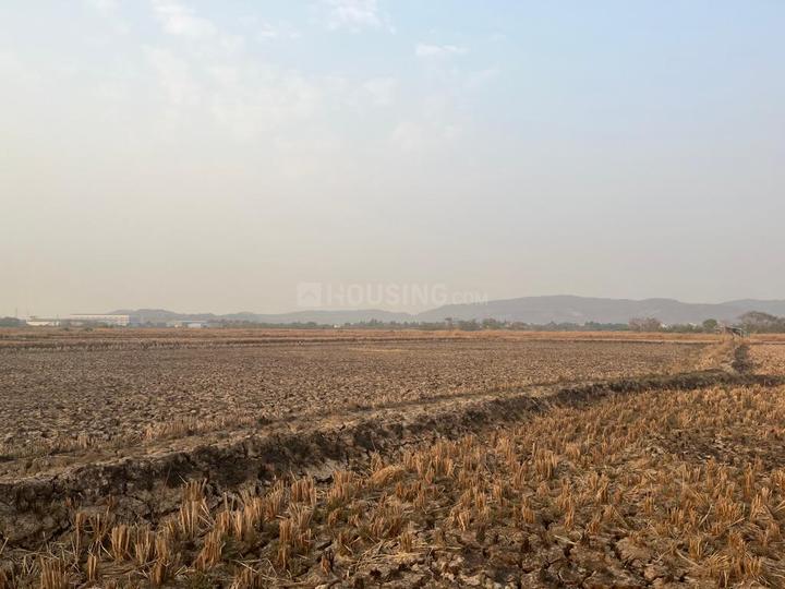 Koproli Main Image 1