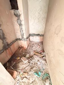 Image of 1370 Sq.ft 3 BHK Apartment / Flat for sale in Konnagar, Hooghly for Rs. 4110000