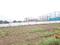 Perne Plot View 2