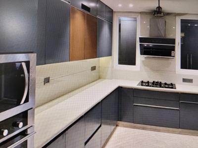 Kitchen Image of 4518 Sq.ft 4 BHK Builder Floor for rent in DLF Phase 1 Gurgaon for Rs. 280000