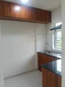 Kitchen Image of 878 Sq.ft 2 BHK Apartment / Flat for rent in Sowparnika Natura, Amalanagar Thrissur for Rs. 26000