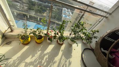 Balcony Image of 1040 Sq.ft 2 BHK Apartment / Flat for sale in Rosa Bella, Hiranandani Estate Thane for Rs. 15500000