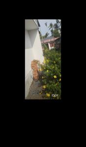 Image of 900 Sq.ft 3 BHK Independent House for sale in Chungam, Kottayam for Rs. 7000000