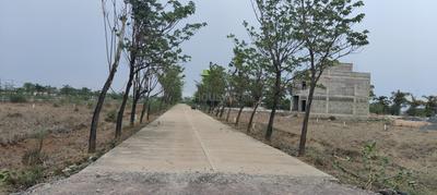 Image of 1400 Sq.ft 3 BHK Independent House for sale in Aranya City Of Woodland Pacheda, Pacheda 1, Raipur for Rs. 3300000