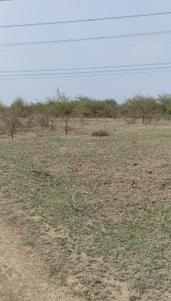 Bhartwada Plot View 2