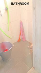 Bathroom Image of 320 Sq.ft 1 RK Apartment / Flat for sale in Worli Mumbai for Rs. 5000000