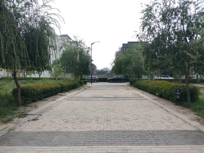 Image of 981 Sq.ft Residential Plot / Land for sale in BPTP District 5, Sector 84, Faridabad for Rs. 19075000