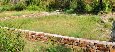 Anarwala Plot View 2