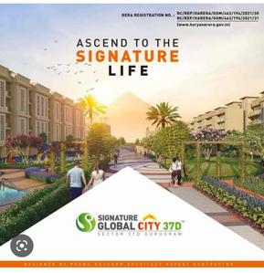 Image of 1305 Sq.ft 3 BHK Builder Floor for sale in Signature Global City 63A, Sector 63, Gurgaon for Rs. 14300000