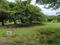 Appur R.F. Plot View 2