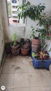 Balcony Image of 995 Sq.ft 2 BHK Apartment / Flat for sale in Surekha Vatika, Balianta Bhubaneswar for Rs. 5000000