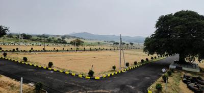 Nexuselite Pride Plot View 1