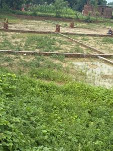 Image of 1505 Sq.ft Residential Plot / Land for sale in Harhua, Varanasi for Rs. 3762000