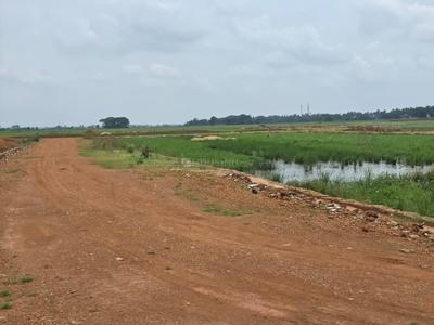 Image of 1500 Sq.ft Residential Plot / Land for sale in Satyabhamapur, Bhubaneswar for Rs. 3300000
