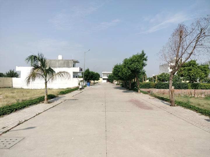 Soha Neal City Main Image 1