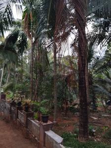 Image of 7405 Sq.ft 2 BHK Independent House for sale in Perinthalmanna, Malappuram for Rs. 7000000