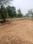 HUDA Plot Sector 38 Main Image 1