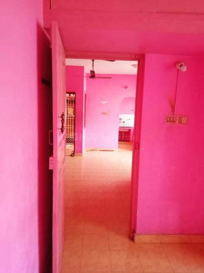 Rajus Galaxy Main Image 1