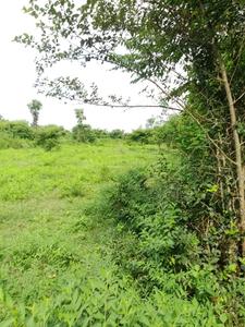Image of 87686 Sq.ft Residential Plot / Land for sale in Uttara, Bhubaneswar for Rs. 170000000