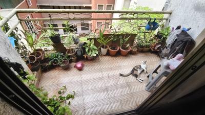 Balcony Image of 710 Sq.ft 1 BHK Apartment / Flat for sale in Paradise Sai Harmony, Ulwe Navi Mumbai for Rs. 6300000