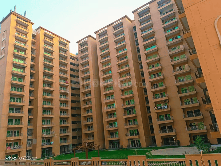 Migsun Roof Main Image 1